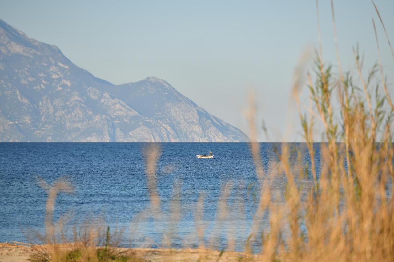Villa Menie - Golden Fig Sykia Lodge Paralia Sikias Exterior photo